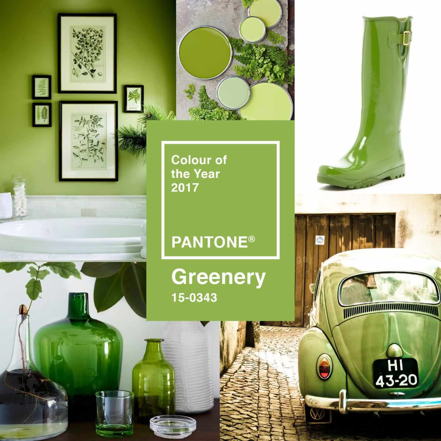 How Does Pantone Select The Color Of The Year?